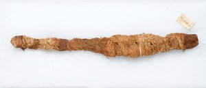 Momia de un cocodrilo, encontrada en Manfalont, 305-30 a.C. de Egyptian Ptolemaic Period