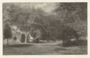 Olmos de Nueva Inglaterra de Elbridge Kingsley