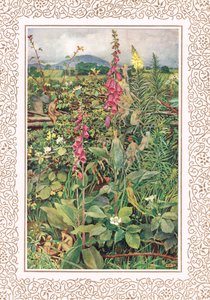 Hadas de Naues entre dedaleras, ilustración de "Idilios del Rey" de Alfred Tennyson (1809-92), publicado por Hodder & Stoughton