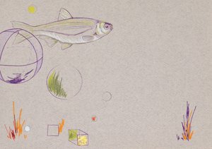 Flotando, 2014 (lápiz acuarelable y pan de oro sobre papel)