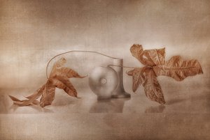 Reflexión otoñal de estilo vintage de Elena Arjona