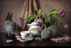 La hora del té con los gatitos