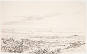 Paisaje de brezal ondulado con dos zorros de Eleonore Christine Tscherning