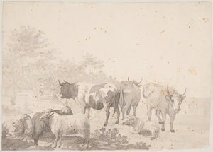  de Elias Martin