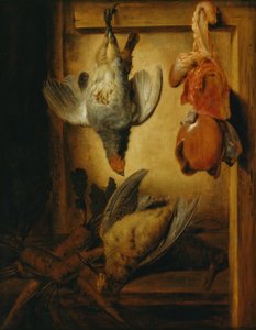 Aves silvestres muertas