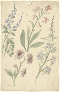 Cuatro estudios de flores rosas y azules de Elias van Nijmegen