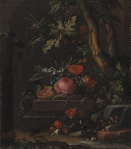 Flores de Elias van den Broeck