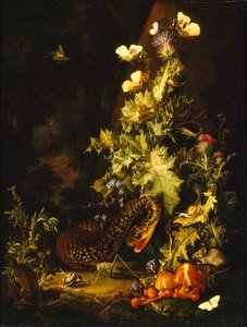 Naturaleza muerta con una serpiente, principios del siglo XVIII de Elias van den Broeck