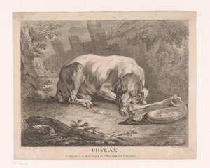 perro durmiendo Phylax (título sobre el objeto) de Élie du Mesnil