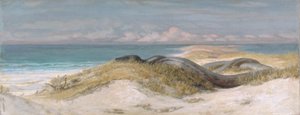  de Elihu Vedder