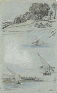 Ficha de Estudios