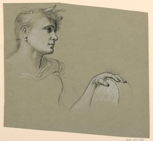 Estudio de figura