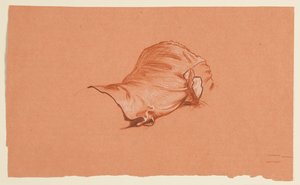 Estudio de drapeado para torso masculino con disfraz