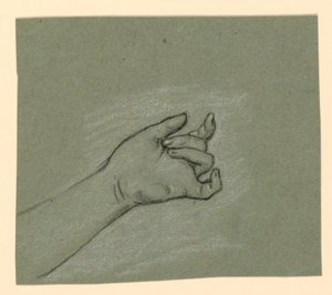Estudio de muñeca y mano izquierda
