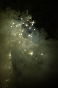 Levedad del ser 1, 2014 (serigrafía) de Elinleticia Högabo