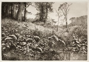 Una tarde de verano de Elis F. Miller