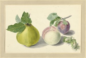 Una pera, un melocotón, una ciruela y nueces de Elisabeth Geertruida van de Kasteele