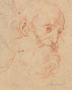  de Elisabetta Sirani