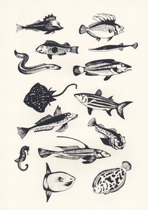 Pez liso monótono, 2015 de Eliza Southwood
