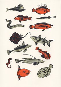 Pez Naranja, 2016 de Eliza Southwood