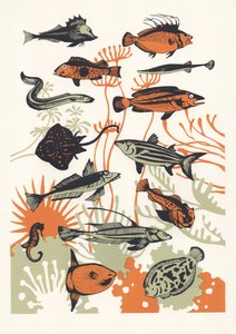 Pez de algas marinas naranja, 2015 de Eliza Southwood