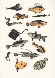 Pez liso, 2015 de Eliza Southwood