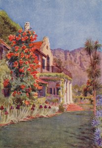 Bignonia grandiflora en Paradise, Claremont (litografía en color)