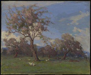 Primavera