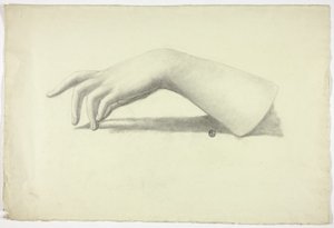 Antebrazo y mano izquierda de Elizabeth Murray