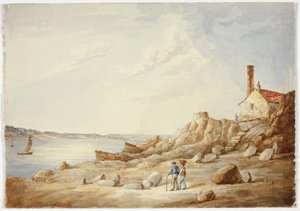 Costa Rocosa de Elizabeth Murray