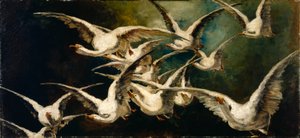 Bandada de gansos de Elizabeth Nourse
