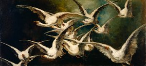 Bandada de Gansos de Elizabeth Nourse
