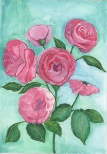 Rosas rosas, 2017 (acuarela) de Elizabeth Rider