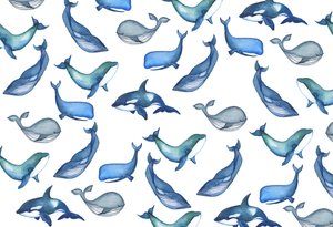Ballenas, 2017 (acuarela)