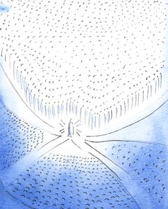 Cristo, a través de Su Presencia Eucarística, es el 