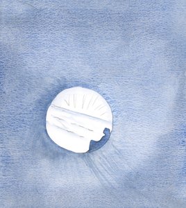 Las gracias que Cristo nos da son como un río que, en plena crecida, nos llevará a la fuente de Elizabeth Wang