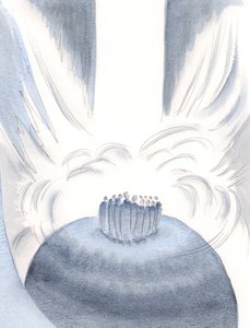 A través de Cristo, la luz del Cielo nos envuelve en cada Misa de Elizabeth Wang