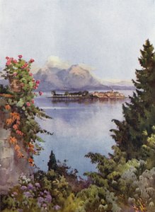 Un jardín en Baveno, Lago Mayor (litografía en color) de Ella Du Cane