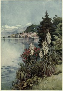 Un grupo de yucas, Villa Melzi, Lago di Como, Ilustración de 