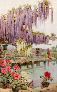 Un jardín de peonías (litografía en color)