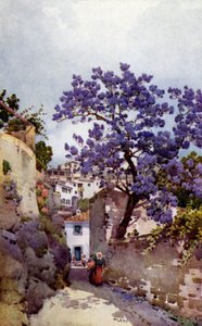 Árbol de Jackaranda (litografía en color)