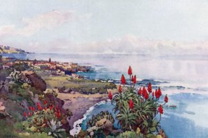 Puerto Orotava (litografía en color)