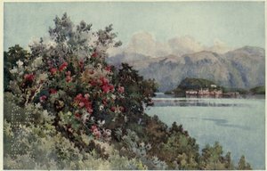 Rosas, Villa Carlotta, Lago di Como, Ilustración de 