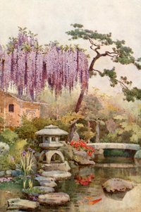 Wistaria en un jardín de Kioto (litografía en color)