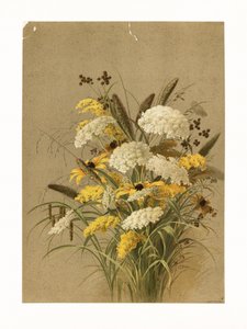 Cicuta, gramíneas de ojo de buey y vara de oro de Ellen Thayer Fisher