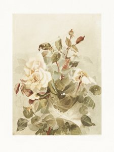 Rosas rosas vistas a través del rocío de la madrugada de Ellen Thayer Fisher