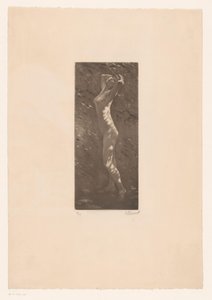 mujer desnuda a la luz del sol de Ellinnot (signed by artist)
