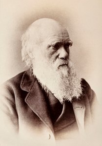 Charles Darwin: naturalista inglés de Elliott und Fry Studio
