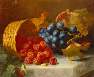 Naturaleza muerta con frambuesas y un racimo de uvas en un borde de mármol, 1882 de Eloise Harriet Stannard