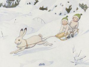 La liebre de las nieves
